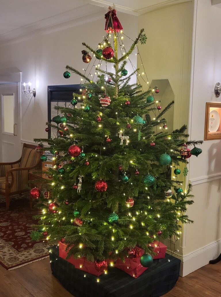 christmas-at-the-grant-arms-hotel (3)