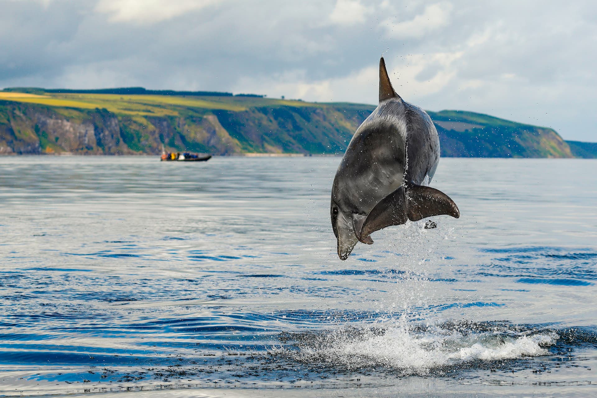 Black Isle Scenery & Boat_Charlie Phillips (1)