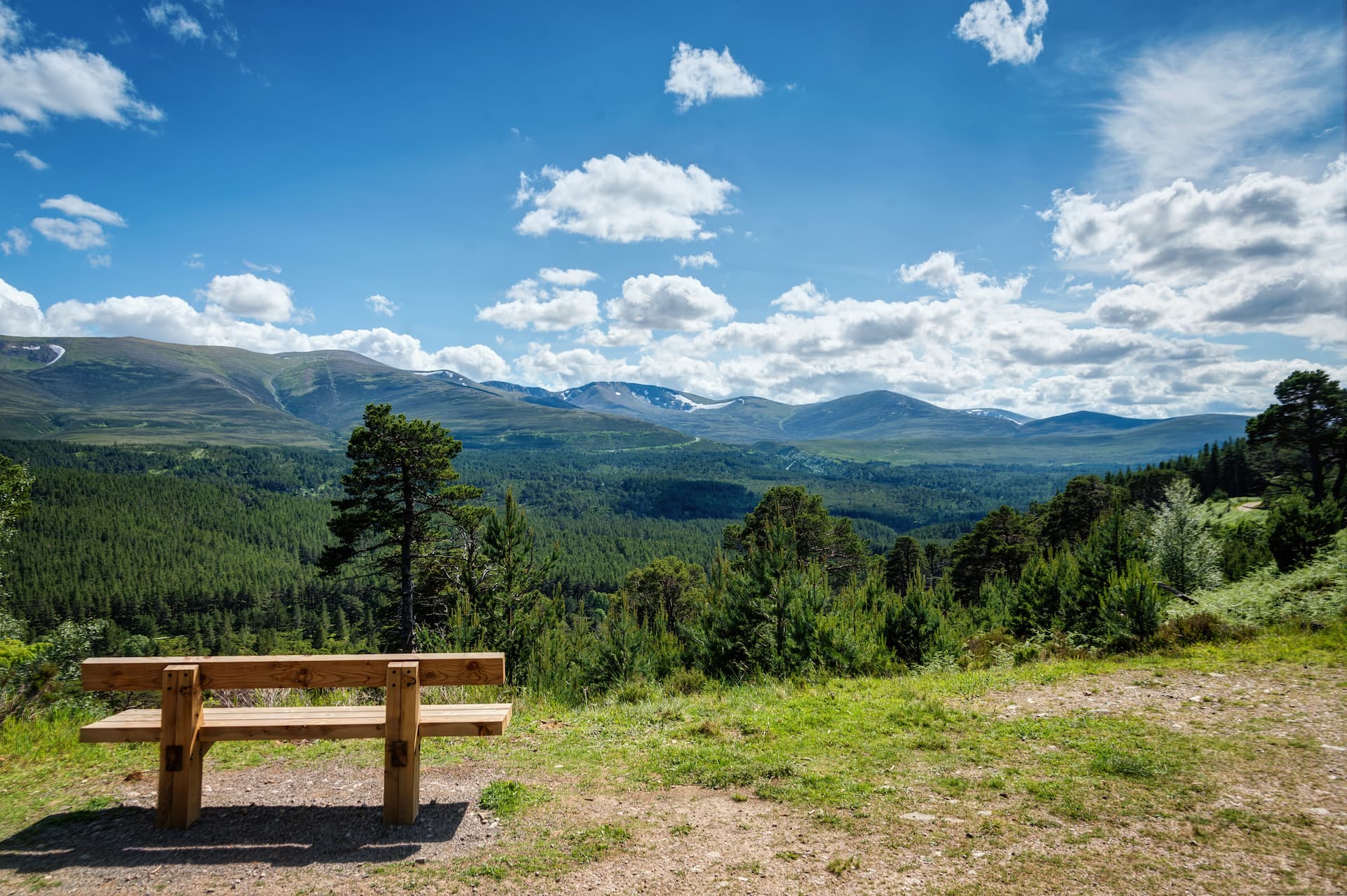 cairngorms-and-glenmore-forest
